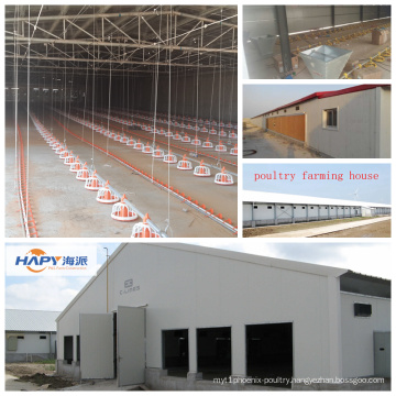 Customized Automatic Equipment in Poultry House with Good Quality